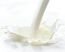 ホエイプロテインが抽出できる牛乳