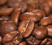 カフェインが含まれるコーヒー豆