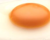 ビタミンEやレシチン豊富な卵黄