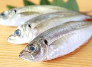 アミノ酸、たんぱく質豊富な魚肉ペプチドが抽出できる新鮮な魚