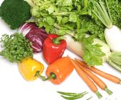 多くの植物素材